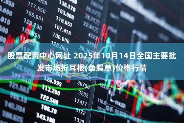股票配资中心网址 2025年10月14日全国主要批发市场折耳根(鱼腥草)价格行情