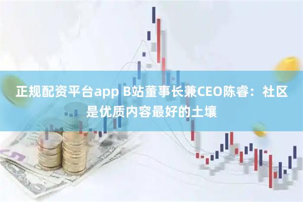 正规配资平台app B站董事长兼CEO陈睿：社区是优质内容最好的土壤