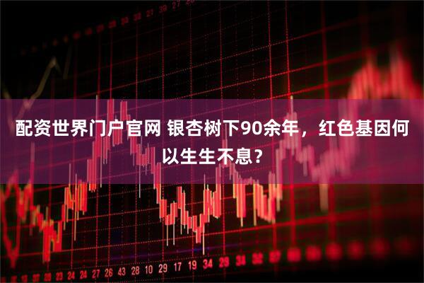 配资世界门户官网 银杏树下90余年，红色基因何以生生不息？